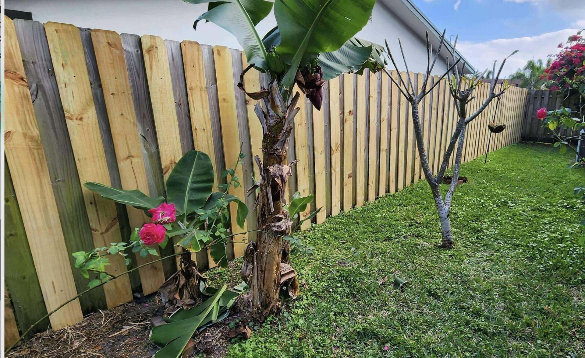 wood fence after repair